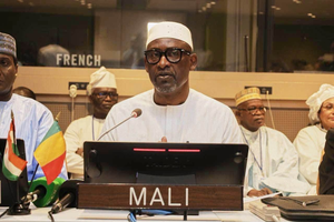 LE MINISTRE ABDOULAYE DIOP L’A DÉCLARÉ LORS DE LA CONFÉRENCE SUR LA SÉCURITÉ ET LE DÉVELOPPEMENT AU SAHEL À NEW YORK :